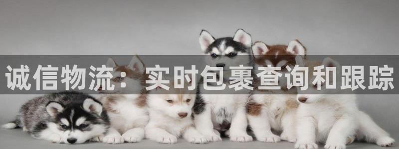 28圈免费：诚信物流：实时包裹查询和