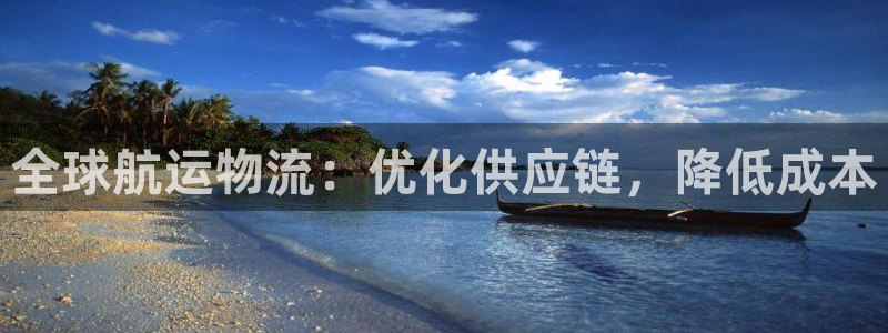28圈旗下：全球航运物流：优化供应链