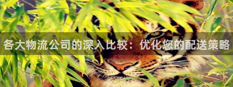 28圈忘记账号