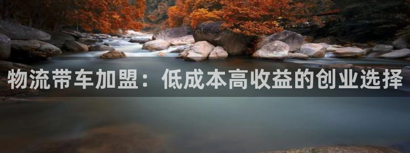 28圈系统自动保护：物流带车加盟：低