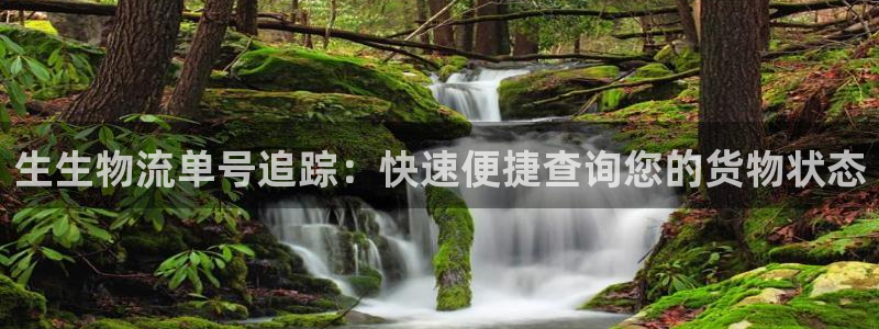 28圈注册入口与教程：生生物流单号追
