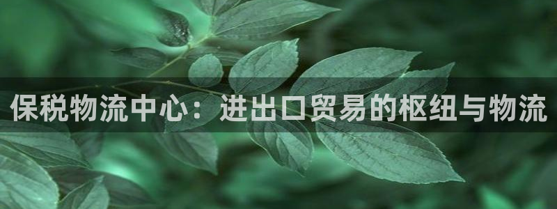 28圈app赢了500万：保税物流中