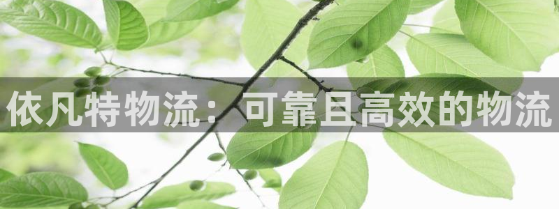28圈下载二维码怎么弄：依凡特物流：