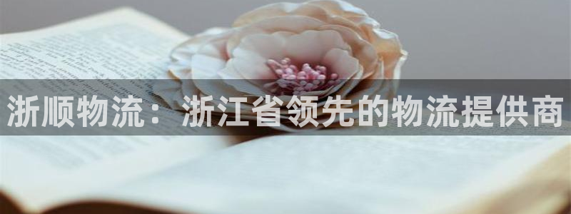 28圈注册网址：浙顺物流：浙江省领先