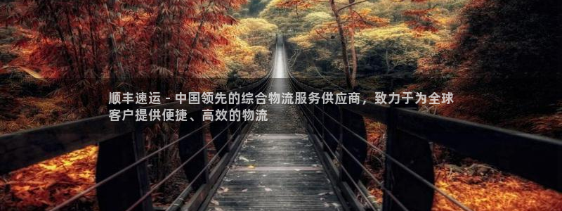 28圈怎么申请代理