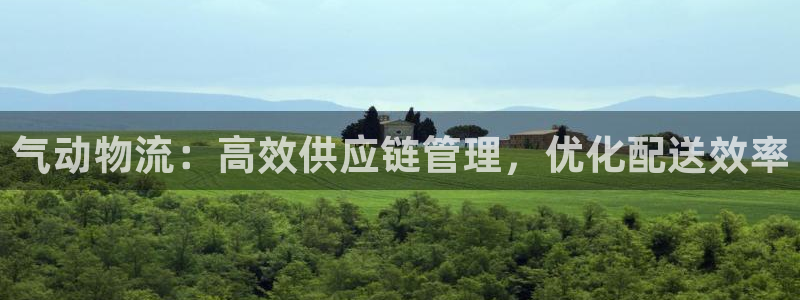 28圈注册网站谁有：气动物流：高效供
