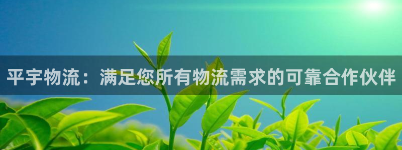 28圈激活码：平宇物流：满足您所有物