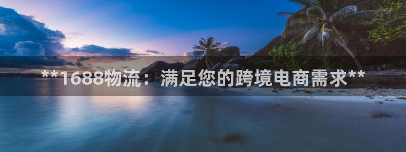 28圈.ccm2024