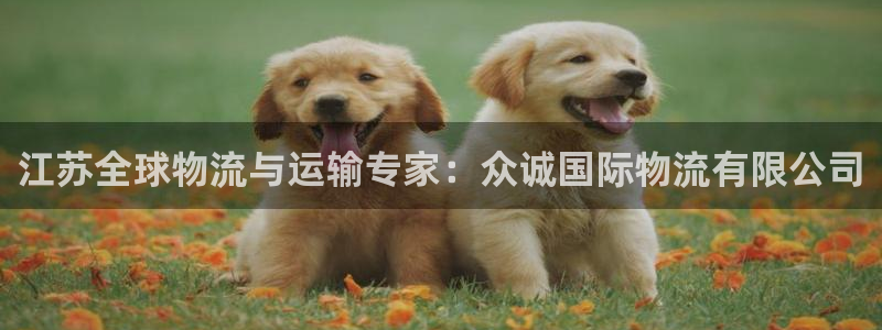 28圈软件有什么用
