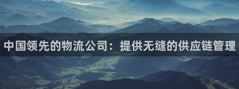 28圈官方版正版：中国领先的物流公司