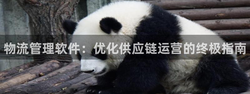 28圈客服一直不回消息怎么办
