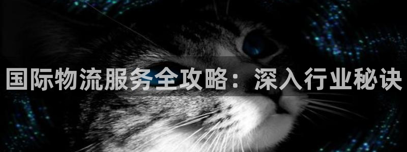 28圈官方版正版
