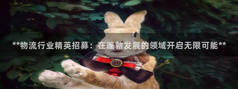 28圈体育下载
