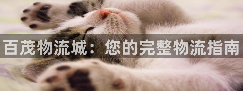28圈官方网站是多少：百茂物流城：您