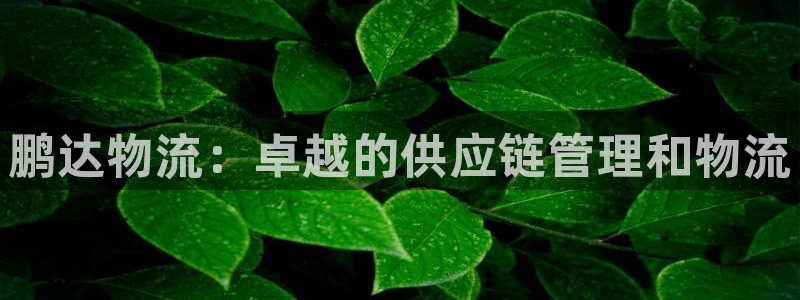28圈注册网站APP：鹏达物流：卓越