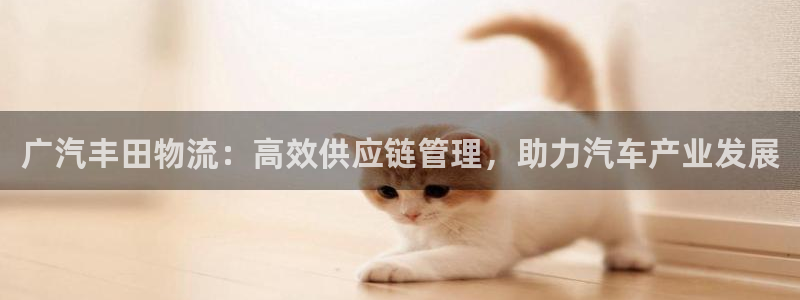 28圈注册链接教程：广汽丰田物流：高