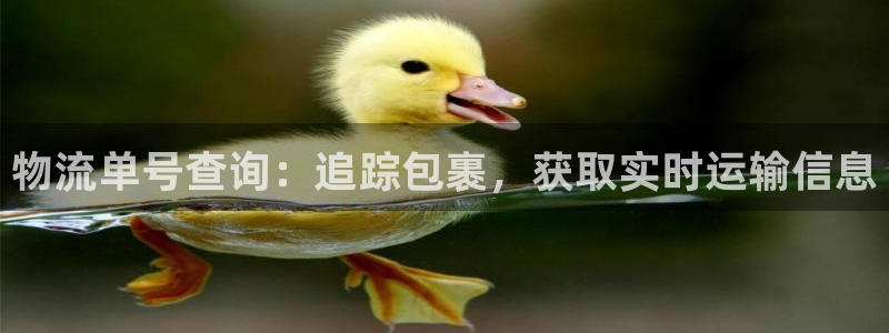 28圈怎么注册下载：物流单号查询：追