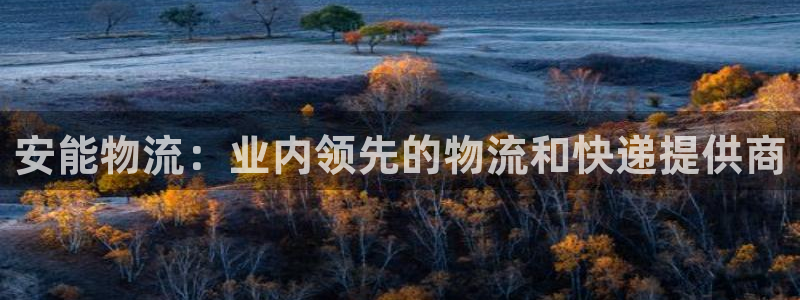 28圈p扣除