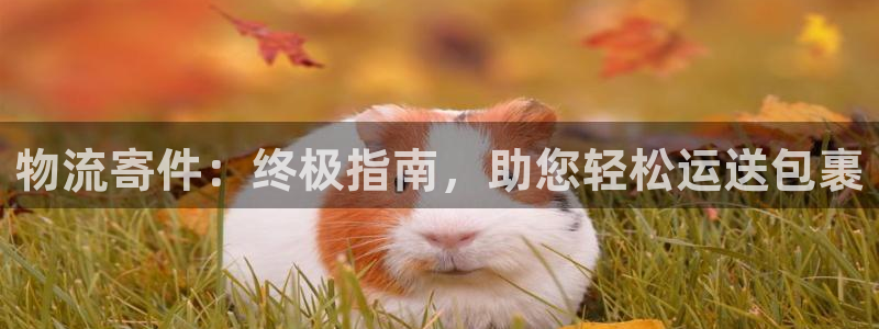 28圈激活码