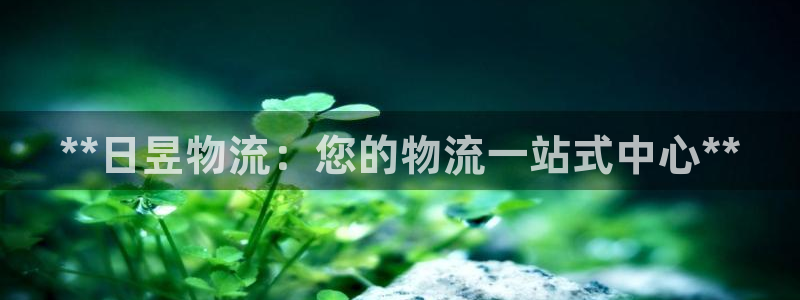 28圈加拿大怎么玩：**日昱物流：您
