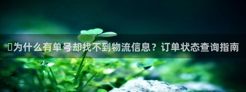 28圈自行车图片
