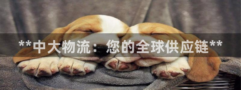 28圈人工客服电话是什么