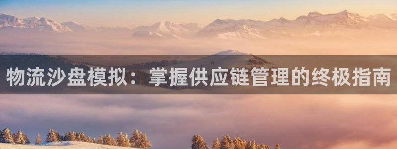 28圈充值金额随便：物流沙盘模拟：掌