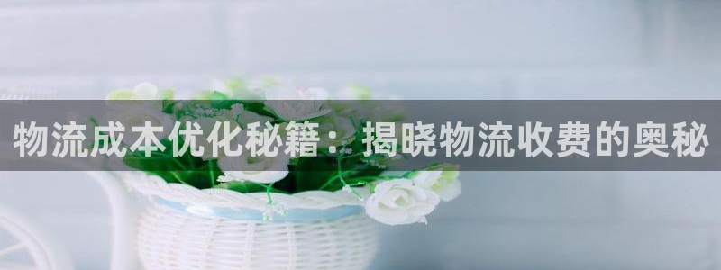 28圈官方网站预测