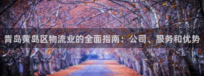 28圈怎么注册账号和密码：青岛黄岛区