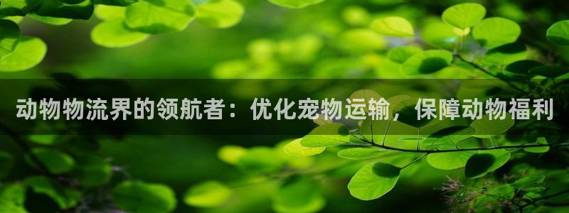 28圈加拿大pc预测