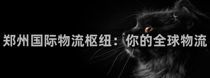 28圈官方：郑州国际物流枢纽：你的全