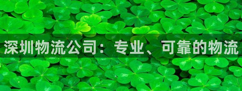 28圈链官网：深圳物流公司：专业、可