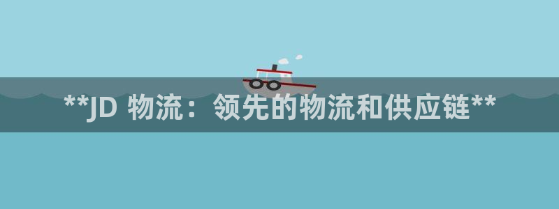 28圈技巧：**JD 物流：领先的物
