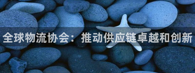 28圈忘记账号：全球物流协会：推动供