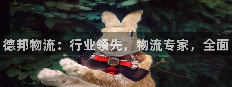 28圈圈