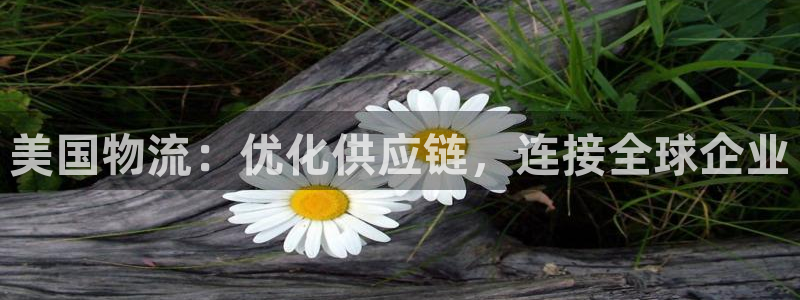 28圈的自行车：美国物流：优化供应链