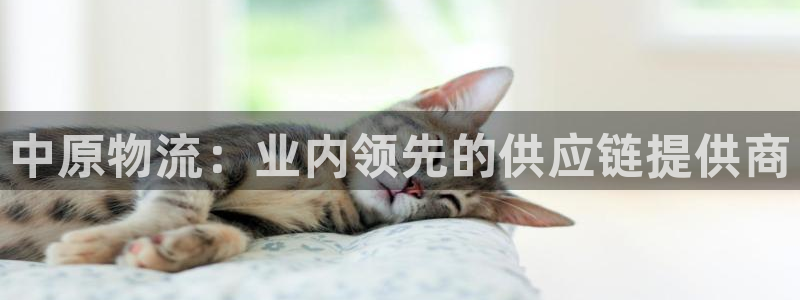 28圈代理落网