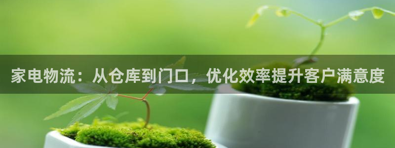 28圈下载二维码：家电物流：从仓库到