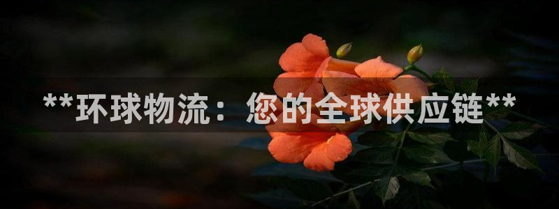自行车28圈是什么意思：**环球物流