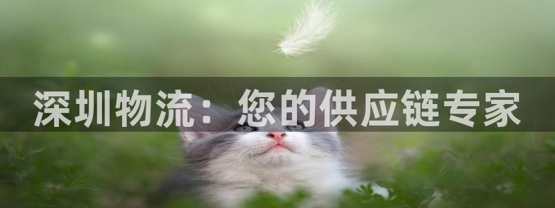 28圈网站平台