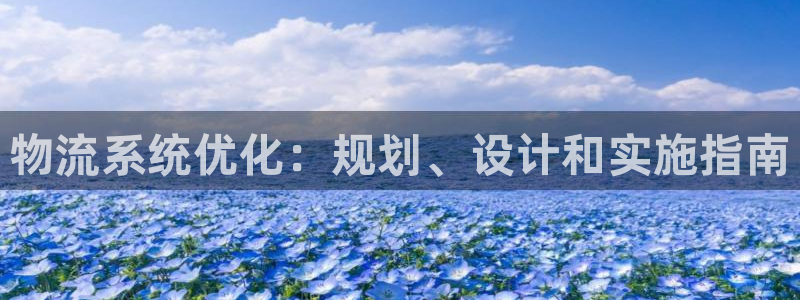 28圈官方网站是多少：物流系统优化：