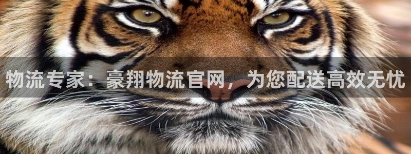 28圈网赌有什么风险：物流专家：豪翔