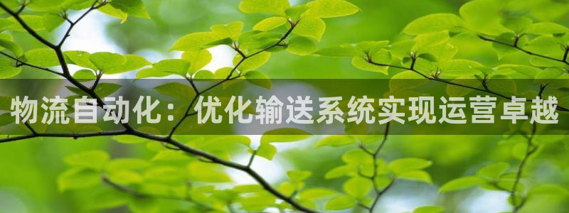 28圈加拿大技巧：物流自动化：优化输