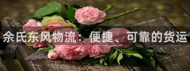 28圈注册号：余氏东风物流：便捷、可