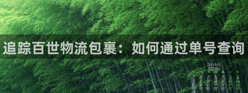 28圈ccm游戏：追踪百世物流包裹：