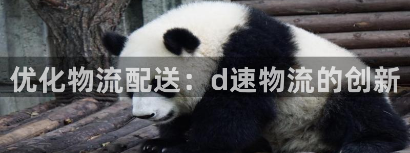 28圈加拿大是什么意思