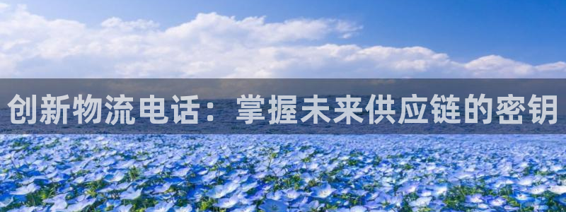 28圈违法吗