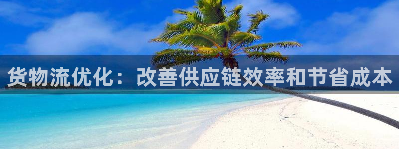 28圈怎么申请代理：货物流优化：改善