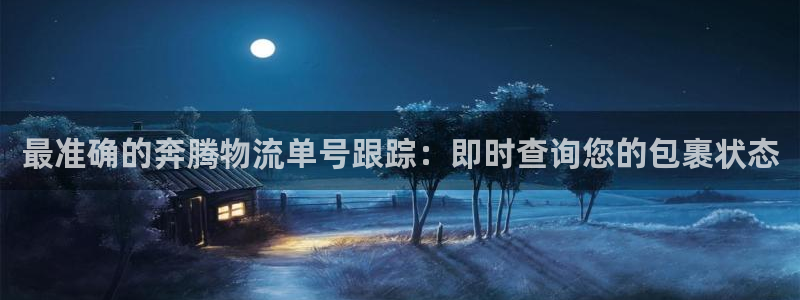 28圈反水：最准确的奔腾物流单号跟踪
