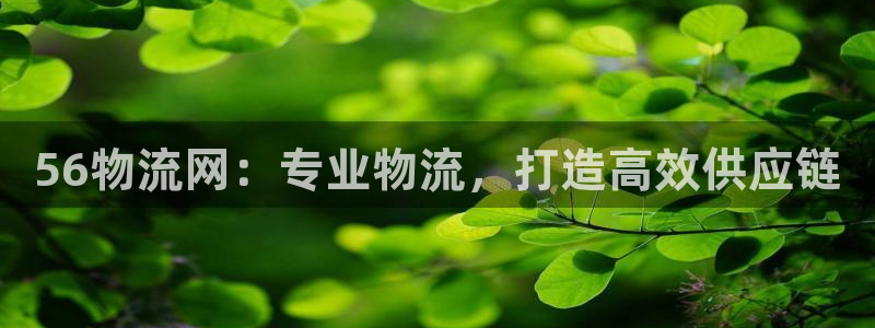 28圈游戏官网入口